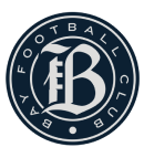 Team Badges